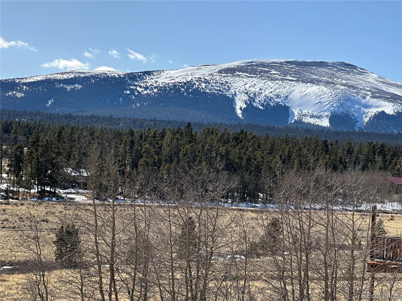 Foxtail Court Fairplay, CO 80440 - Photo 3 of 29 a view of a yard