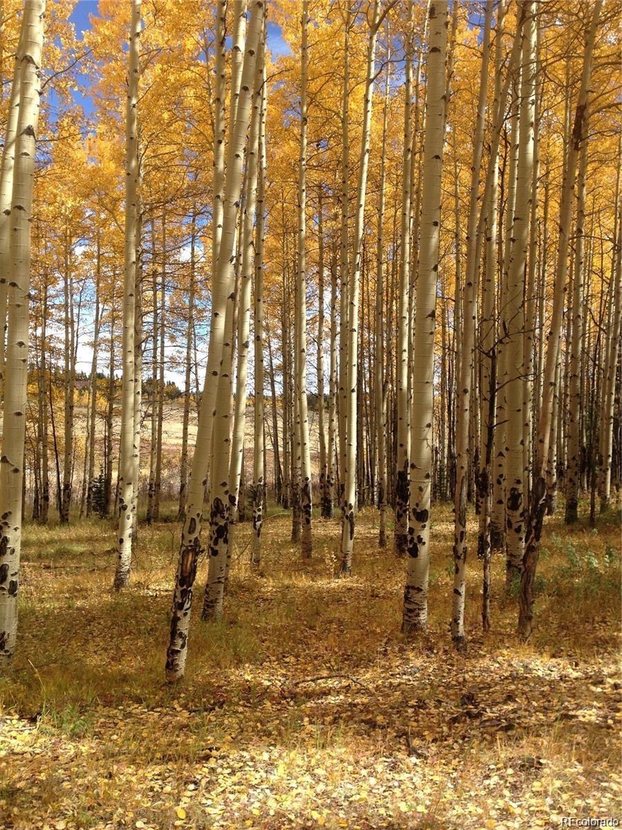 Foxtail Court Fairplay, CO 80440 - Photo 4 of 29 a view of outdoor space with seating area