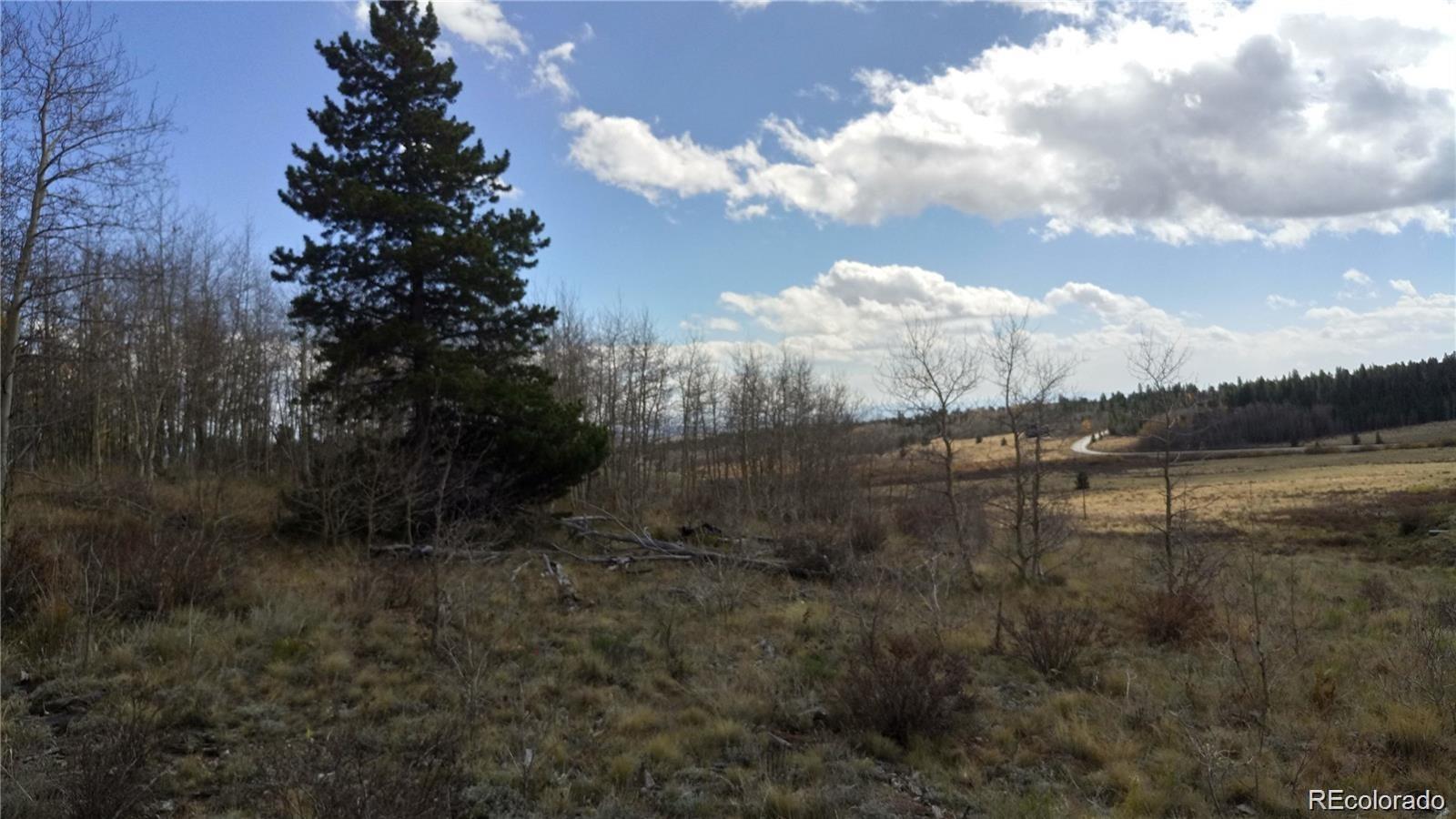 Foxtail Court Fairplay, CO 80440 - Photo 5 of 29 a view of a lake from a yard