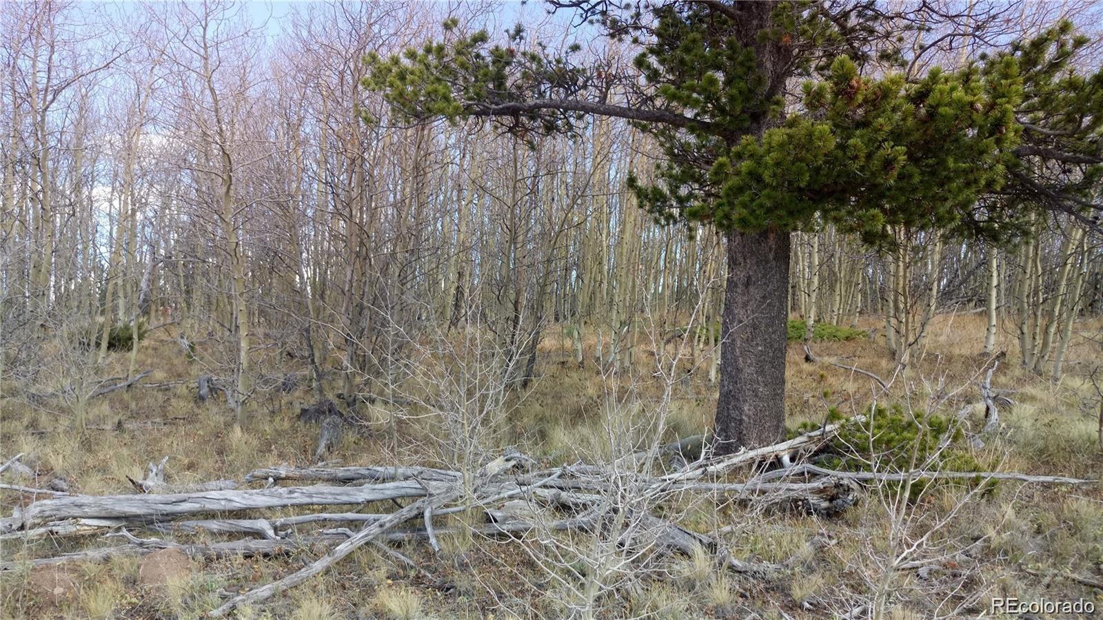 Foxtail Court Fairplay, CO 80440 - Photo 7 of 29 a backyard of a house