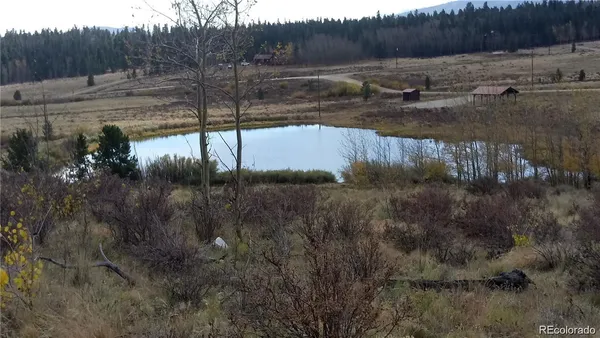 $149,000 | Foxtail Court, Fairplay, CO 80440
