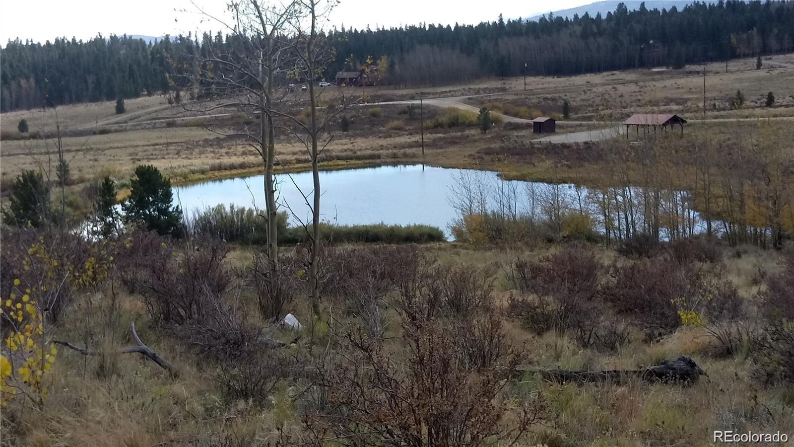 Foxtail Court Fairplay, CO 80440 - Photo 8 of 29 a view of a yard