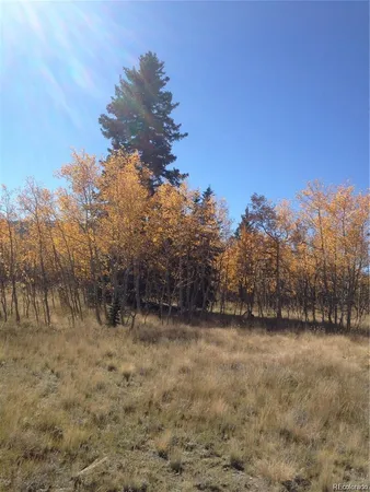 $149,000 | Foxtail Court, Fairplay, CO 80440