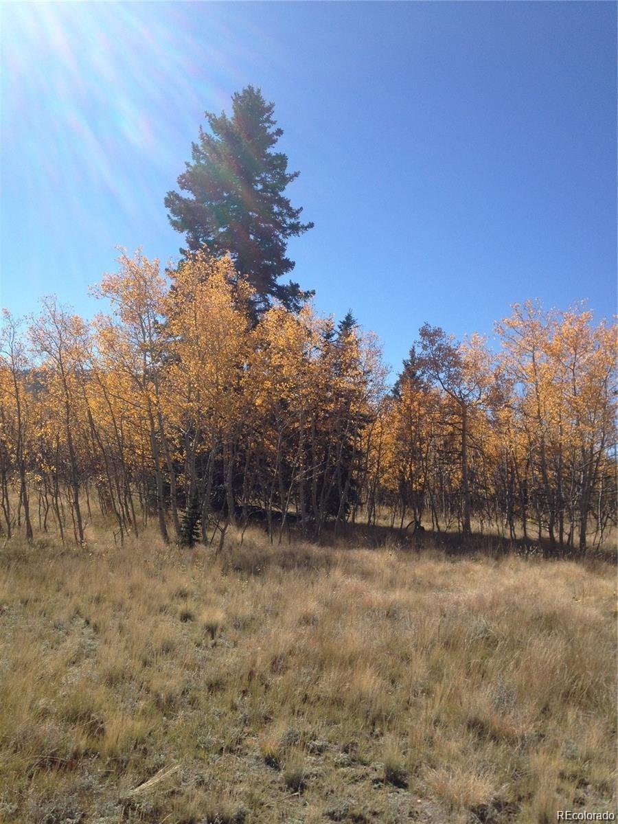 Foxtail Court Fairplay, CO 80440 - Photo 10 of 29 a view of outdoor space and trees