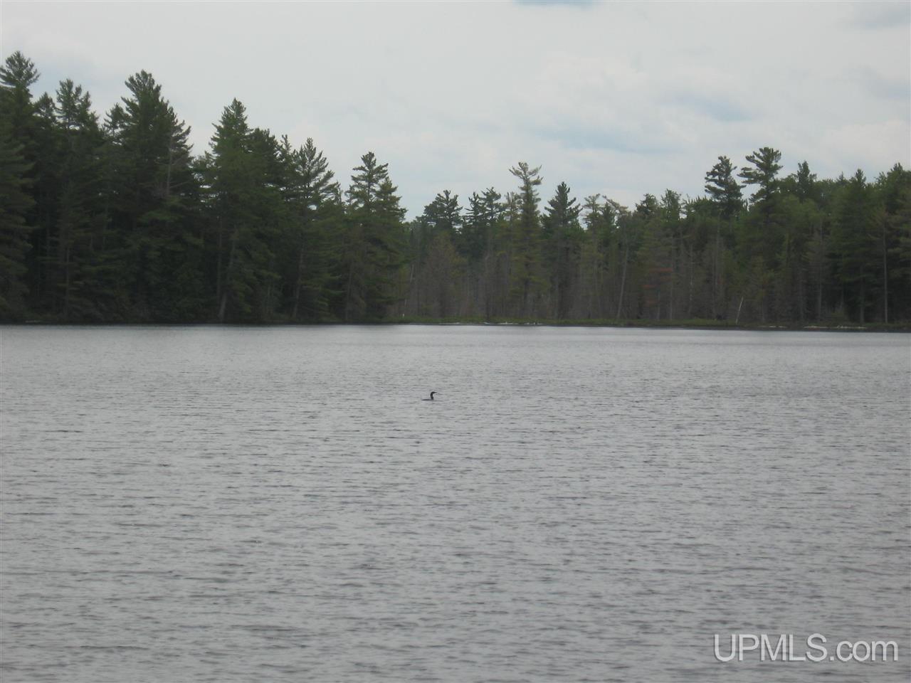 0 Rhody Cr, Unit CARTER LAKE RDP Seney, MI 49883 - Photo 33 of 36