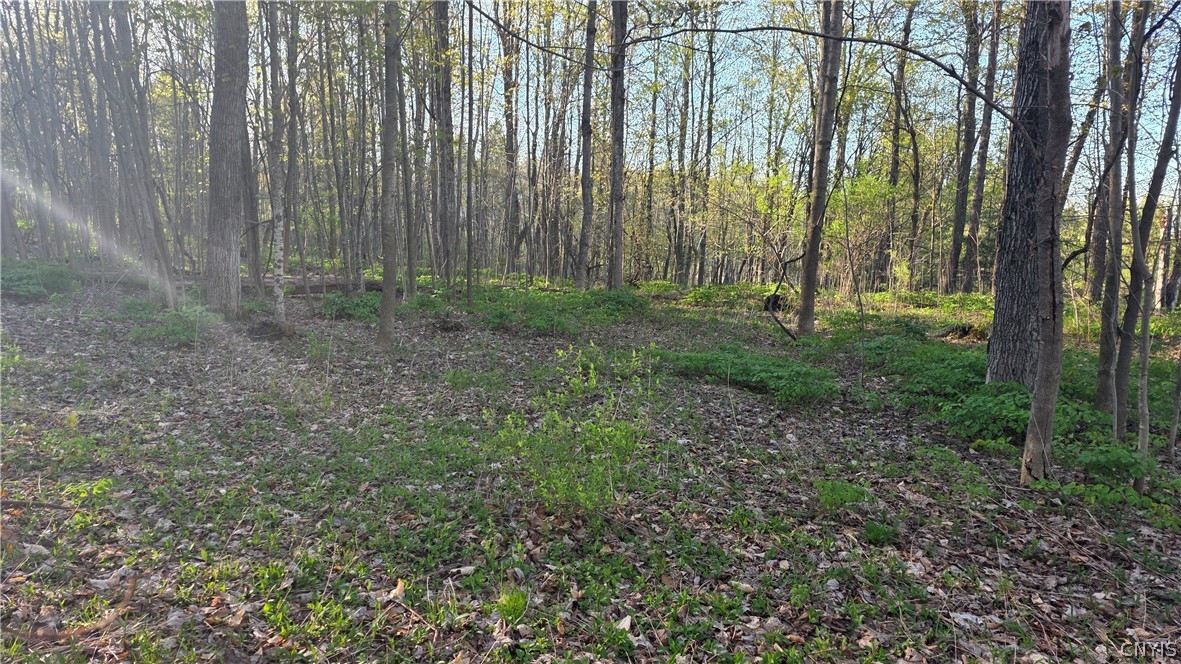 2361 State Route 28 Mohawk, NY 13407 - Photo 29 of 33