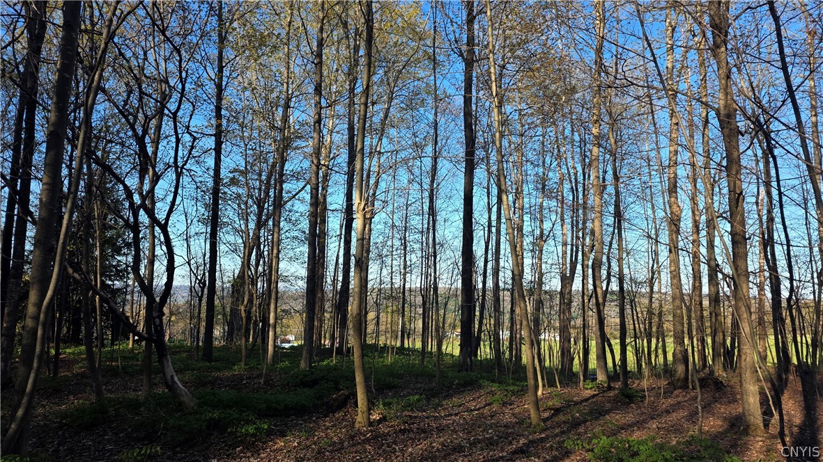 2361 State Route 28 Mohawk, NY 13407 - Photo 32 of 33