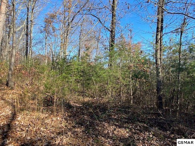 4 Cunningham Road Seymour, TN 37865 - Photo 8 of 8