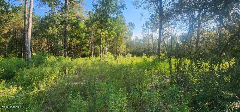 Prime 6.5-acre tract offering endless po