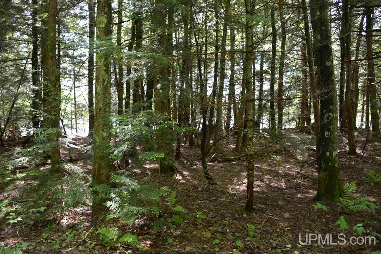 0 H58 Road Shingleton, MI 49884 - Photo 8 of 12
