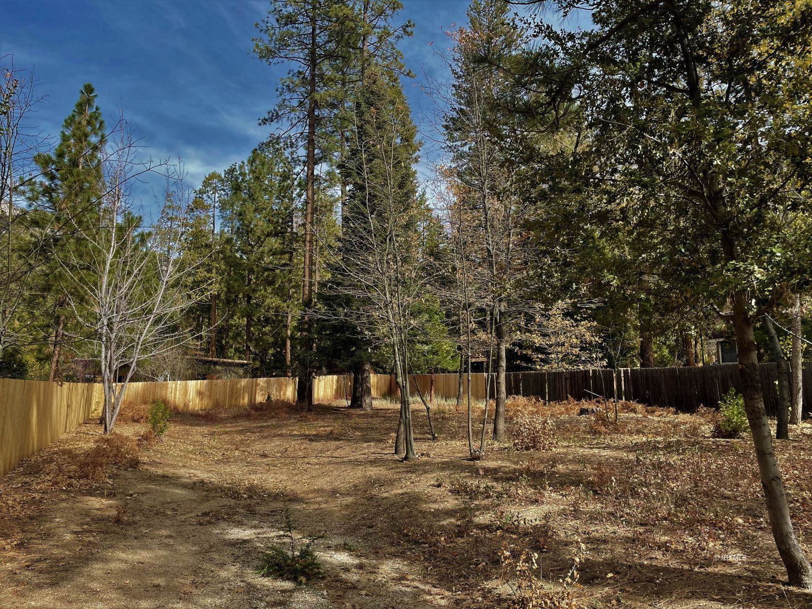 Fern Valley Road Idyllwild, CA 92549 - Photo 2 of 4 a view of outdoor space with garden