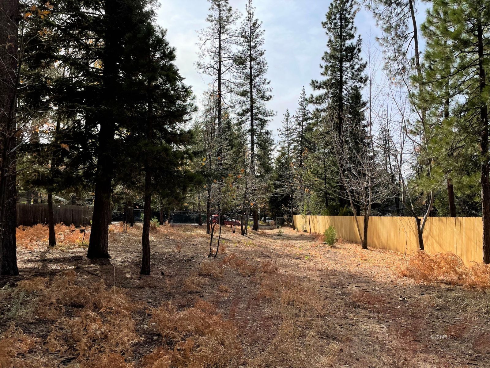 Fern Valley Road Idyllwild, CA 92549 - Photo 3 of 4 a view of outdoor space with trees