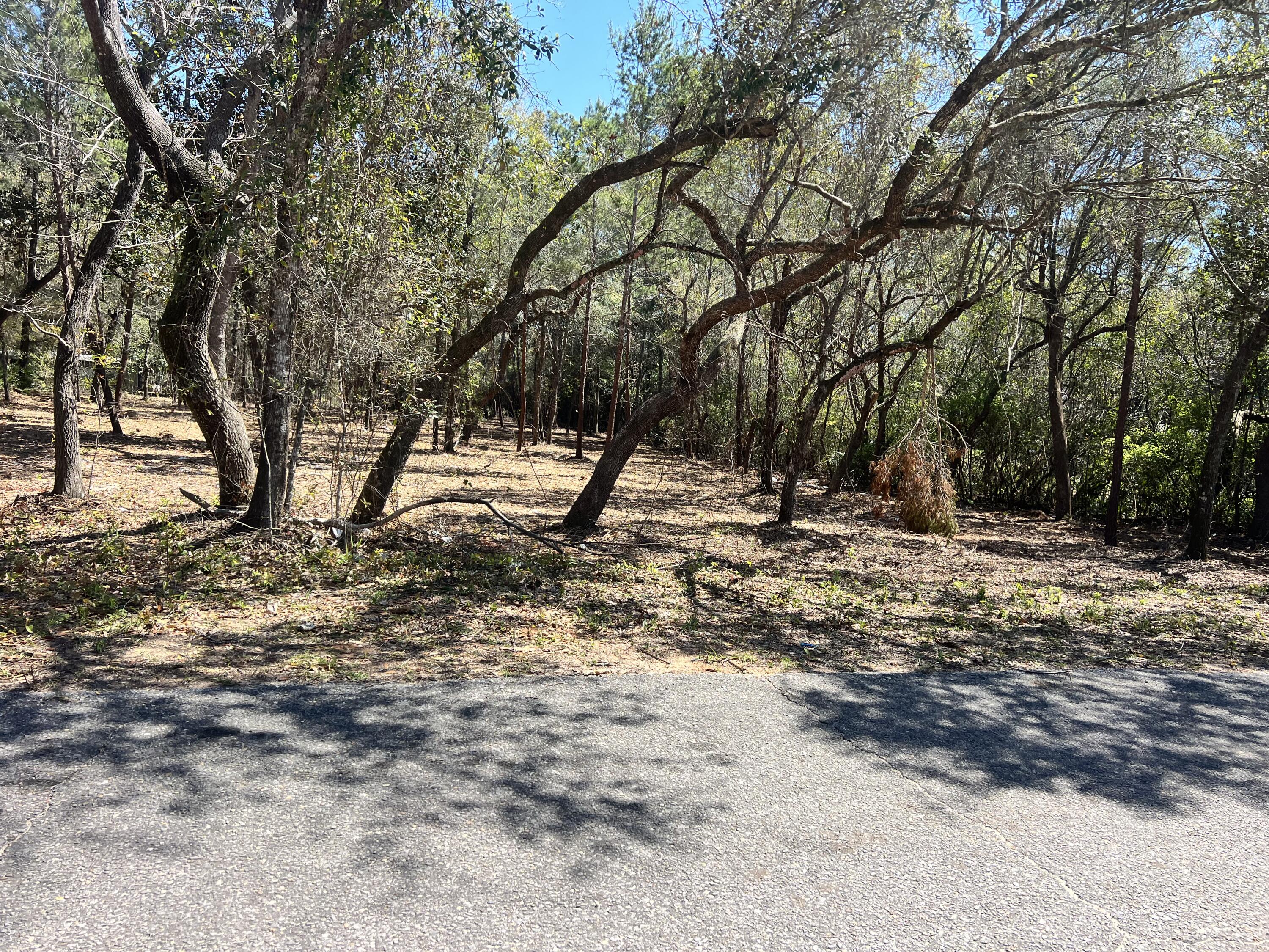 0 Hickory Street Navarre, FL 32566 - Photo 1 of 5 a view of road and trees
