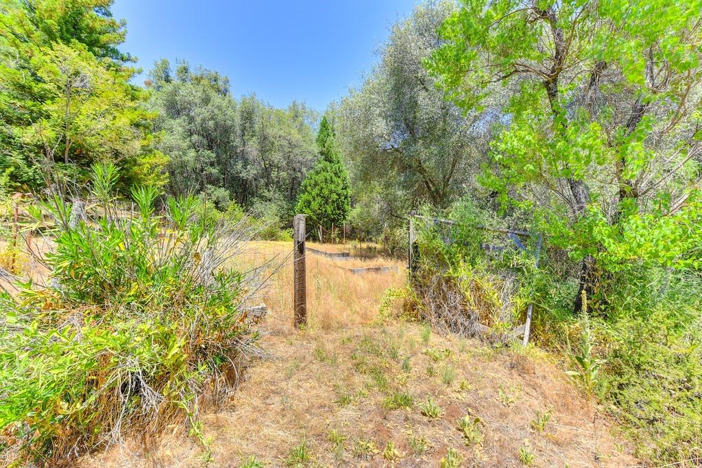 18000 Hale Road Volcano, CA 95689 - Photo 13 of 44