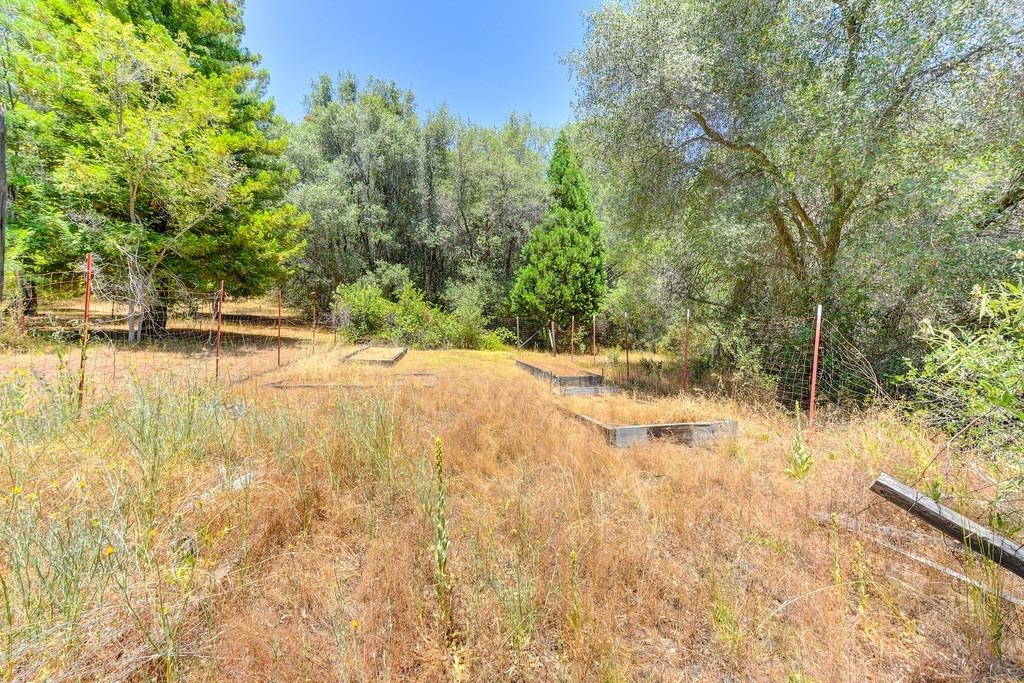18000 Hale Road Volcano, CA 95689 - Photo 14 of 44