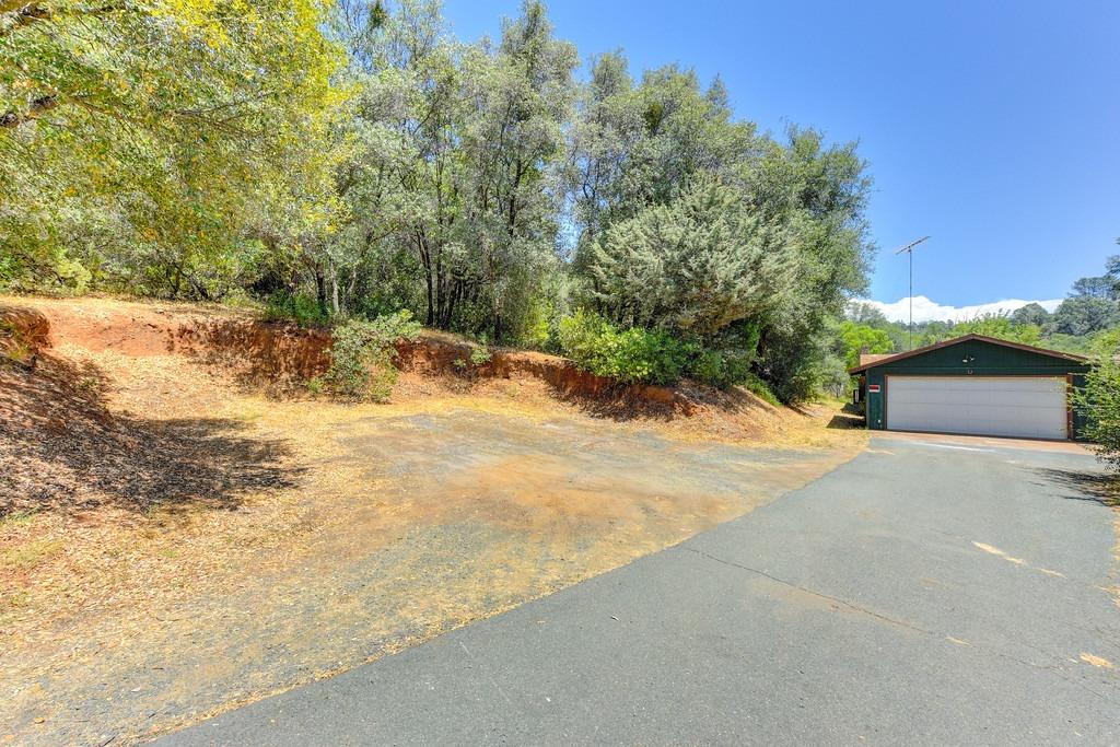 18000 Hale Road Volcano, CA 95689 - Photo 3 of 44