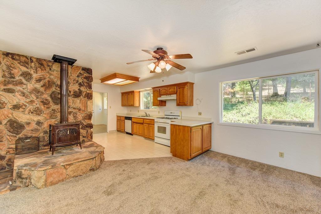 18000 Hale Road Volcano, CA 95689 - Photo 21 of 44