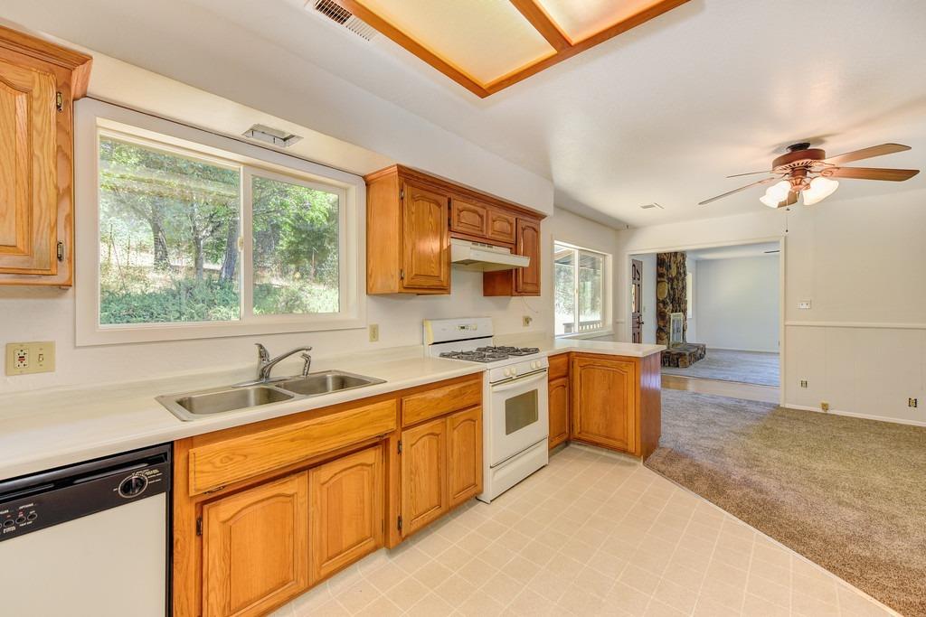 18000 Hale Road Volcano, CA 95689 - Photo 27 of 44