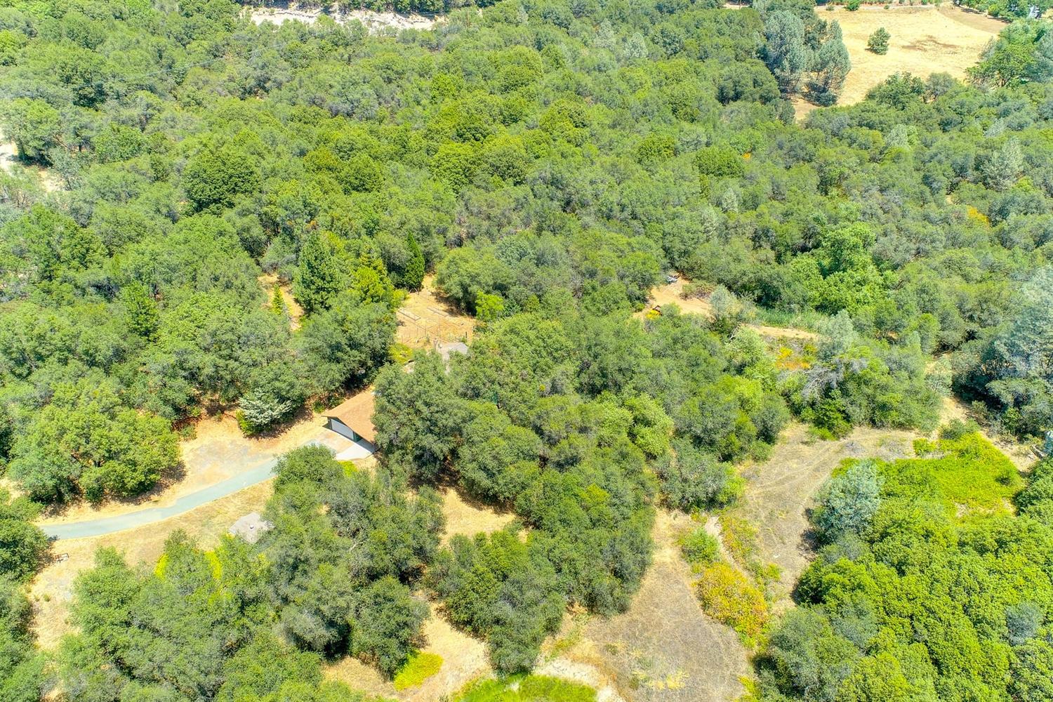 18000 Hale Road Volcano, CA 95689 - Photo 41 of 44