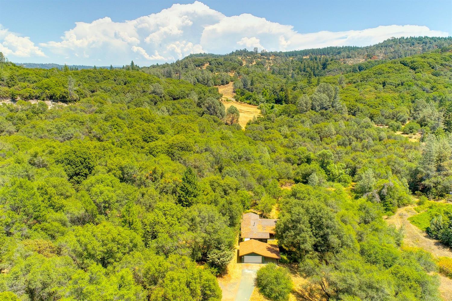 18000 Hale Road Volcano, CA 95689 - Photo 42 of 44