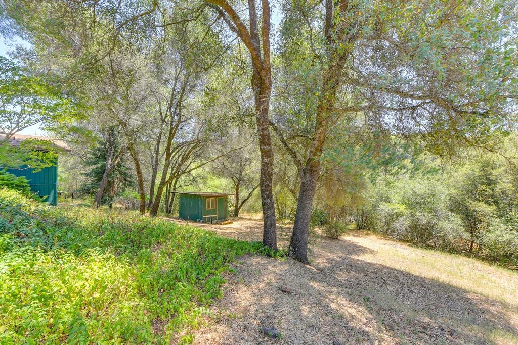 18000 Hale Road Volcano, CA 95689 - Photo 6 of 44