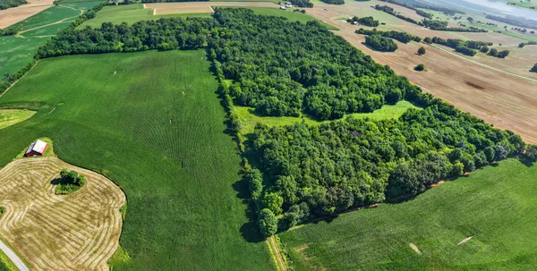 $1,001,100 | 5202 Jones Roe Road, Springfield, TN 37172