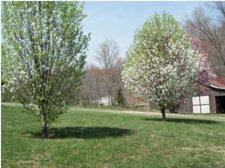 2233 Pierce Hill Road Dayton, TN 37321 - Photo 24 of 25 Additional Photo
