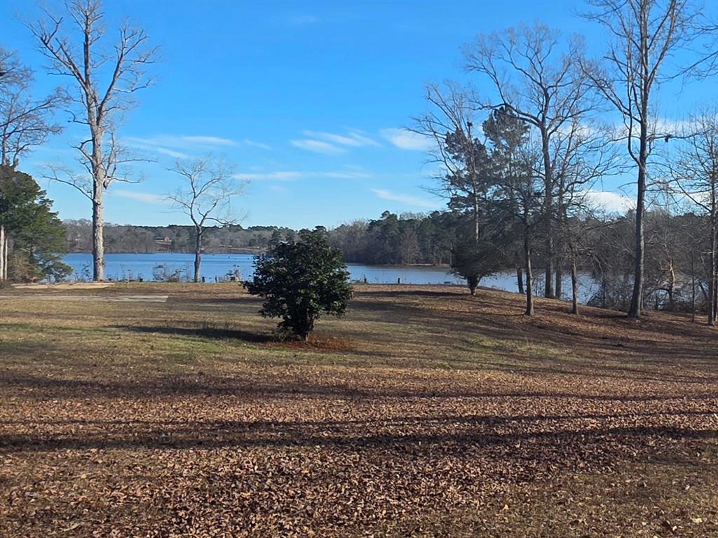 8850 Highway 1200 Boyce, LA 71409 - Photo 1 of 23 a view of backyard with green space