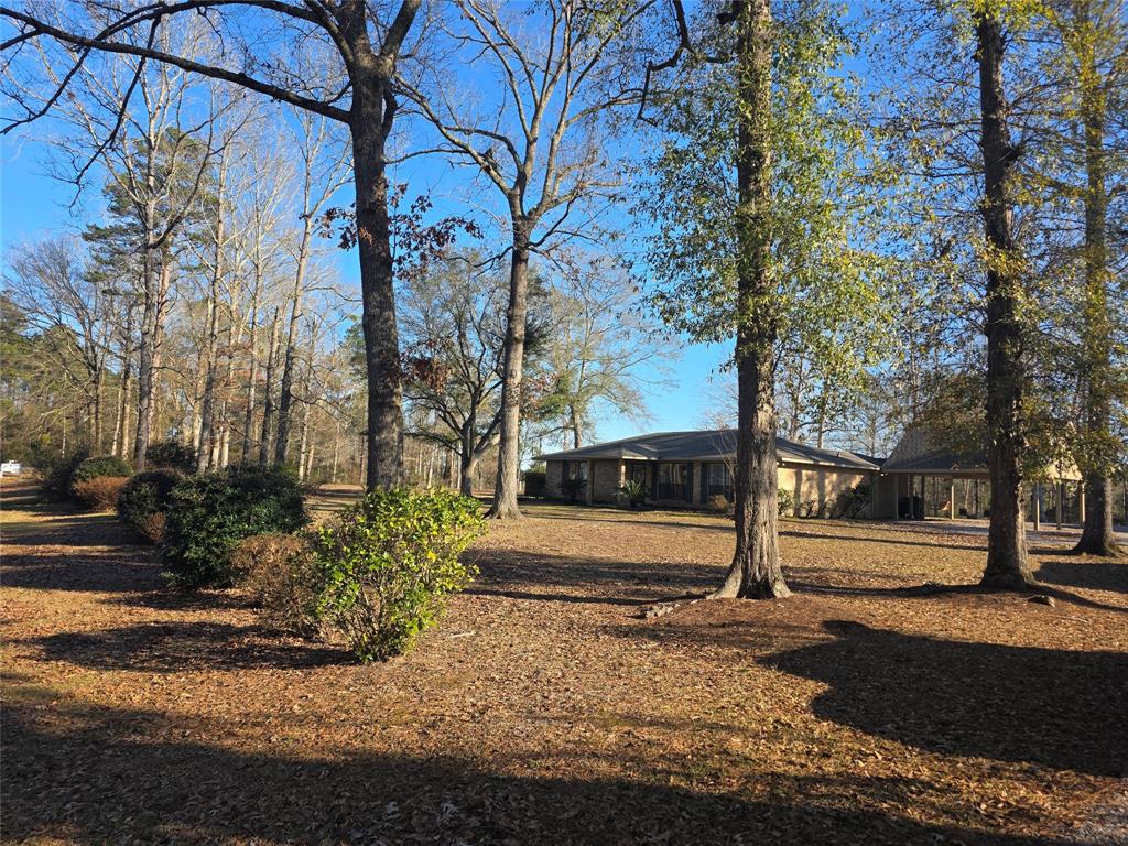 8850 Highway 1200 Boyce, LA 71409 - Photo 2 of 23 a view of a yard with plants and trees