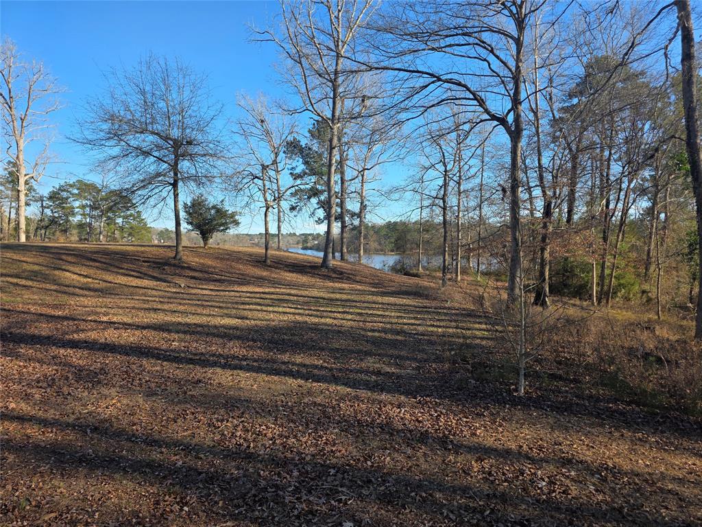 8850 Highway 1200 Boyce, LA 71409 - Photo 23 of 23 a view of a yard