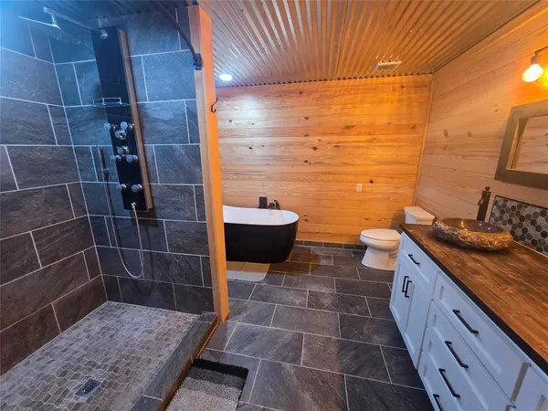 a bathroom with a sink and a toilet