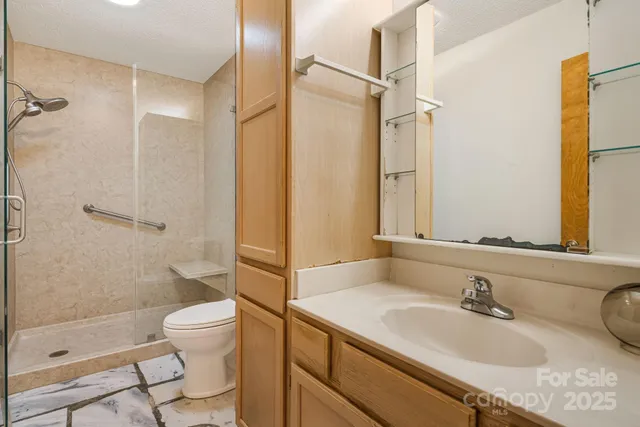 a bathroom with a sink a toilet and shower