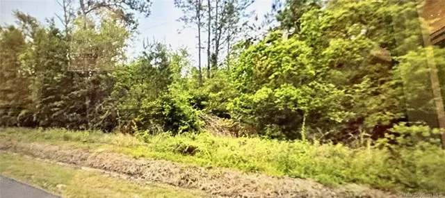 $23,000 | 0 Oak Lane, Ragley, LA 70657