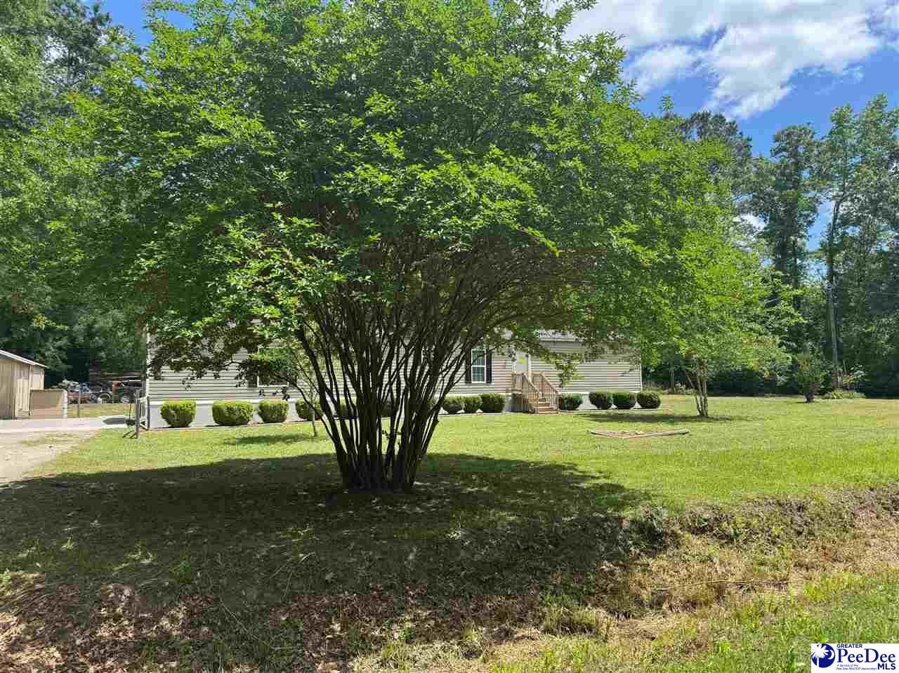 869 West Deer Road Timmonsville, SC 29161 - Photo 16 of 17 Gallery Image 16