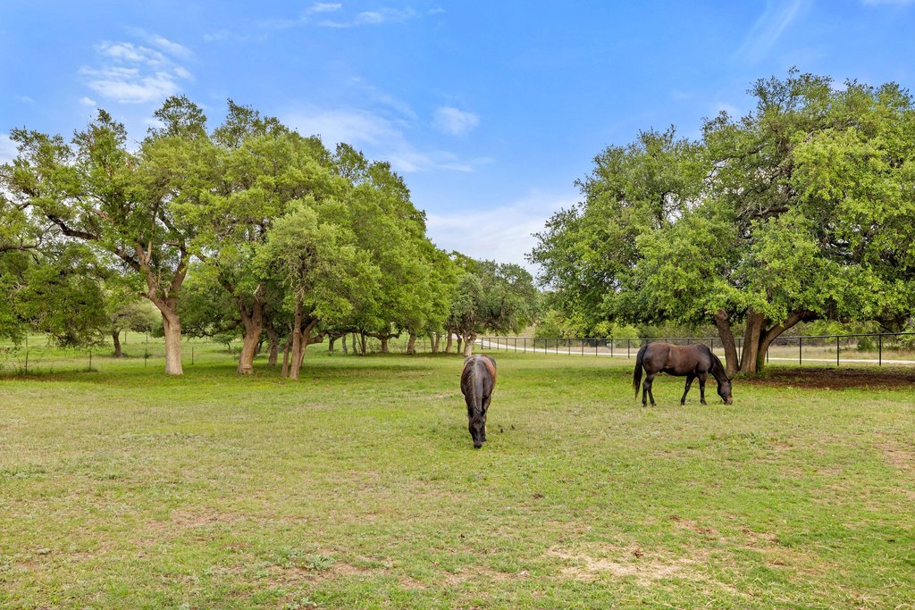 2560 Bell Springs Road Dripping Springs, TX 78620 - Photo 40 of 40 a swimming pool and trees in the background