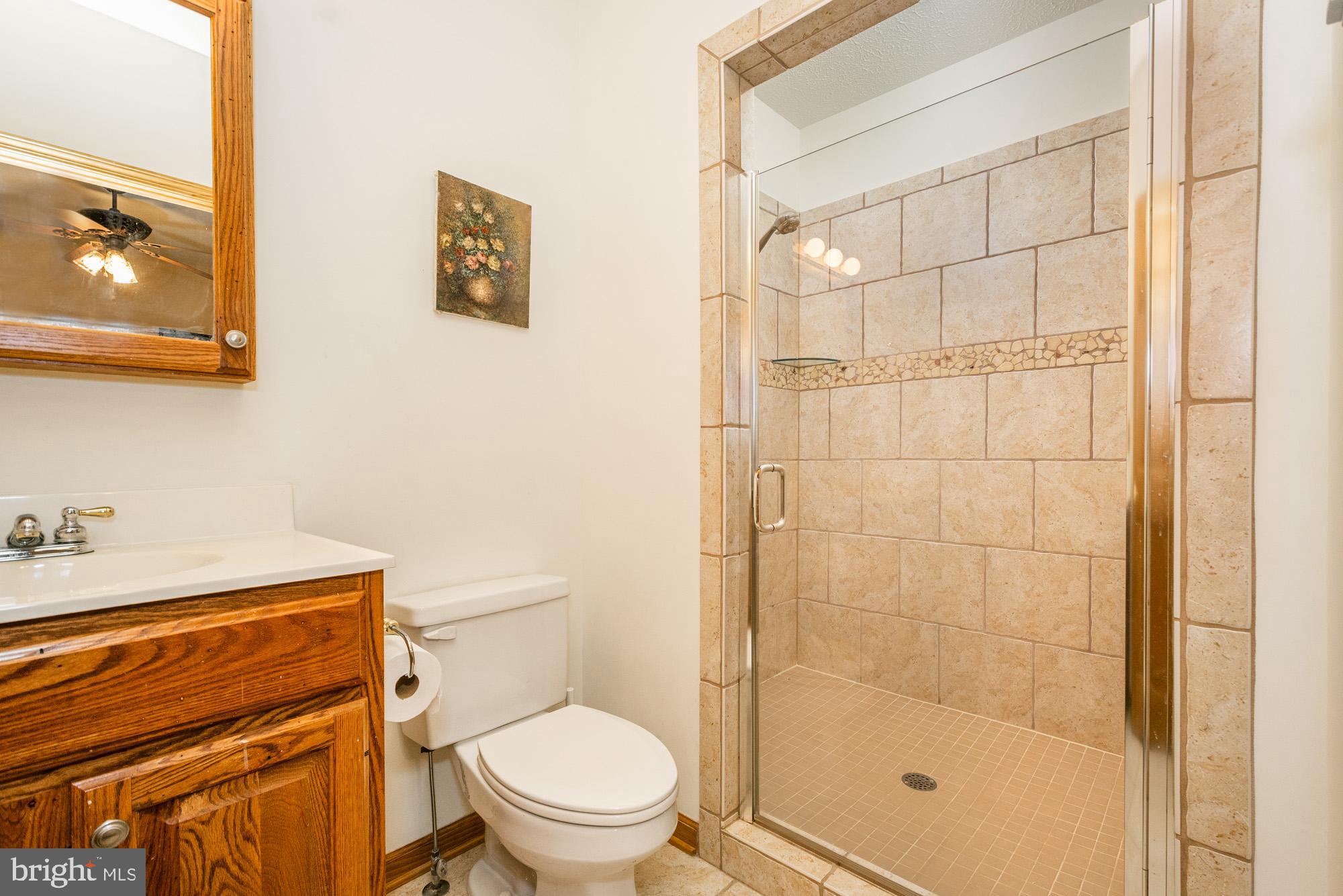 750 Wisp Mountain Road, Unit B McHenry, MD 21541 - Photo 12 of 49 a bathroom with a shower a toilet and a sink