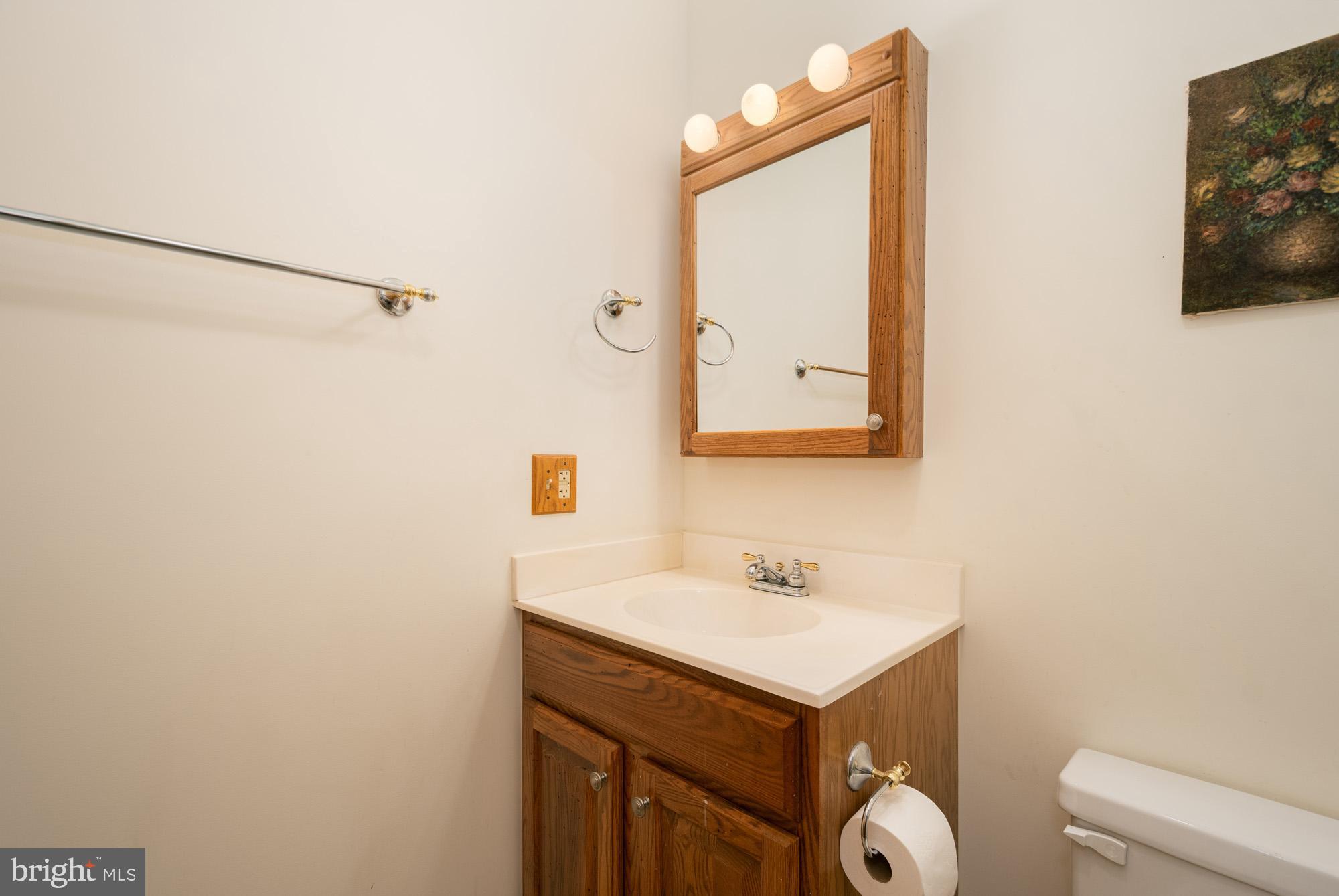 750 Wisp Mountain Road, Unit B McHenry, MD 21541 - Photo 13 of 49 a bathroom with a sink vanity and a mirror