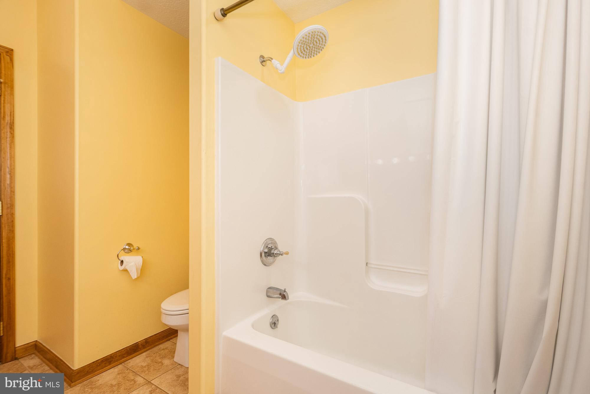 750 Wisp Mountain Road, Unit B McHenry, MD 21541 - Photo 17 of 49 a bathroom with a bathtub