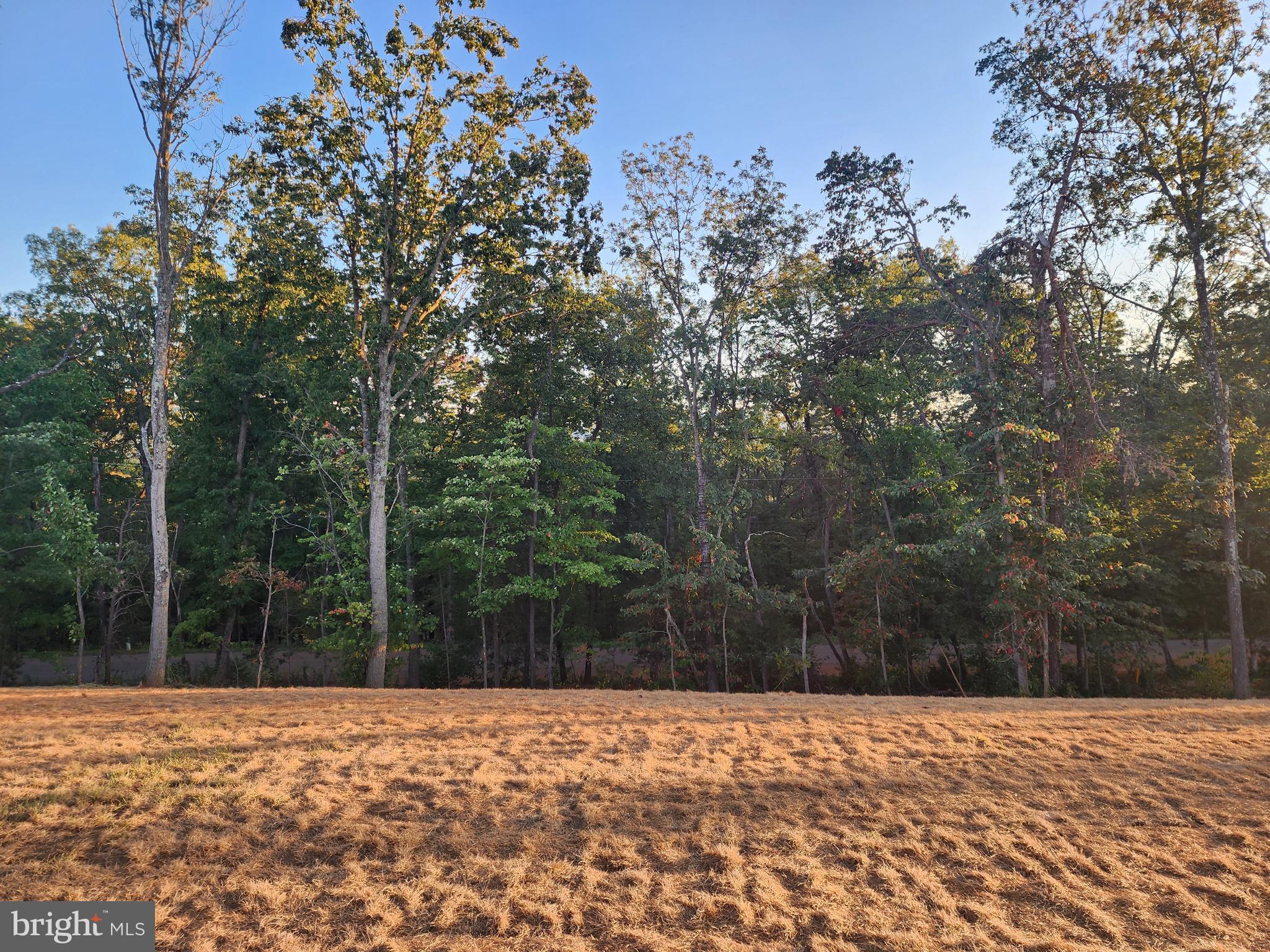 117 Pointers Way Front Royal, VA 22630 - Photo 22 of 26