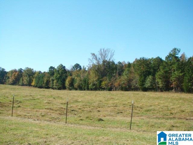 800 Brooks Lake Road Lincoln, AL 35096 - Photo 15 of 33