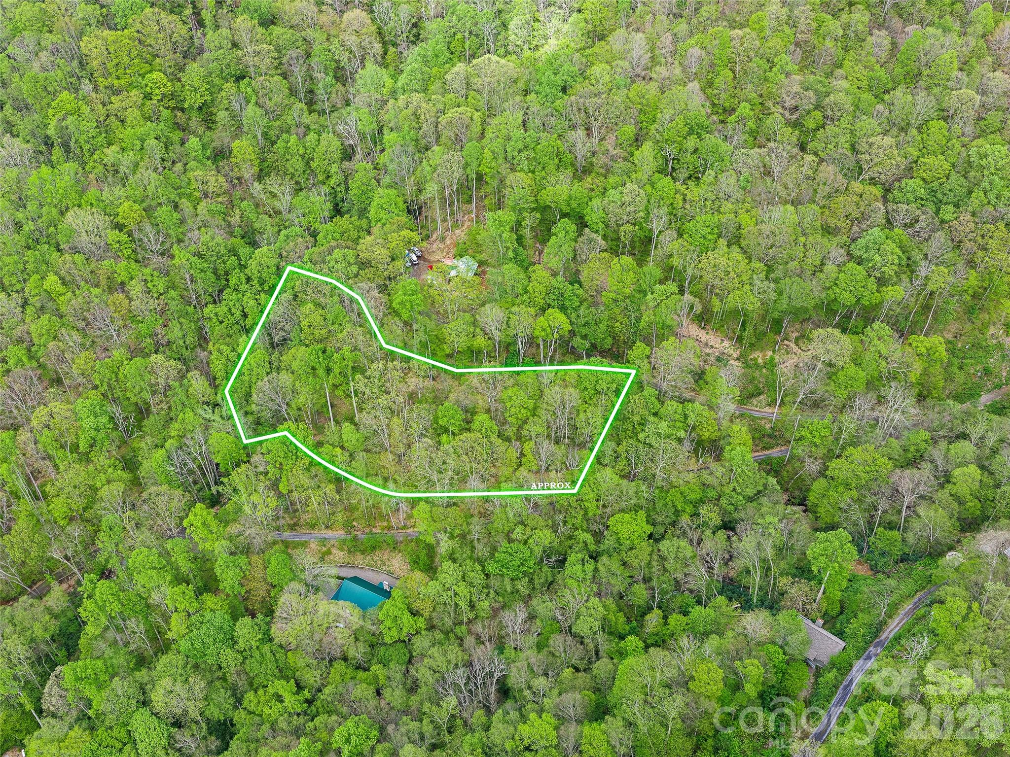 1161 Deep Gap Road Burnsville, NC 28714 - Photo 5 of 14
