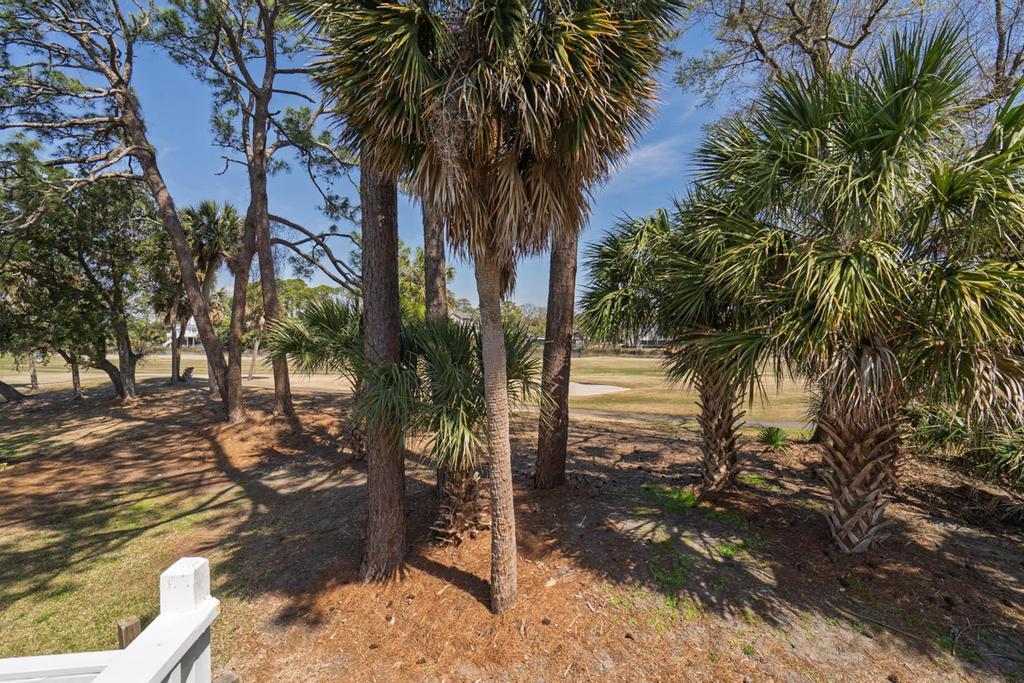 60 Rice Lane Edisto Beach, SC 29438 - Photo 2 of 44