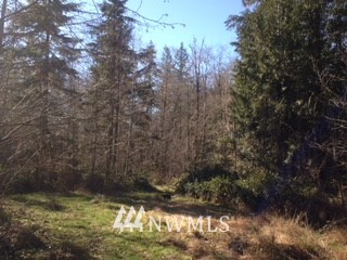 933 B Logan Hill Road Chehalis, WA 98532 - Photo 22 of 24