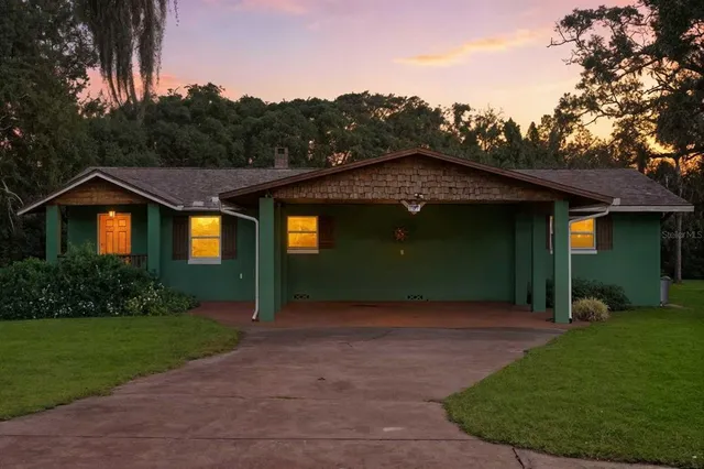 a view of a park with large trees