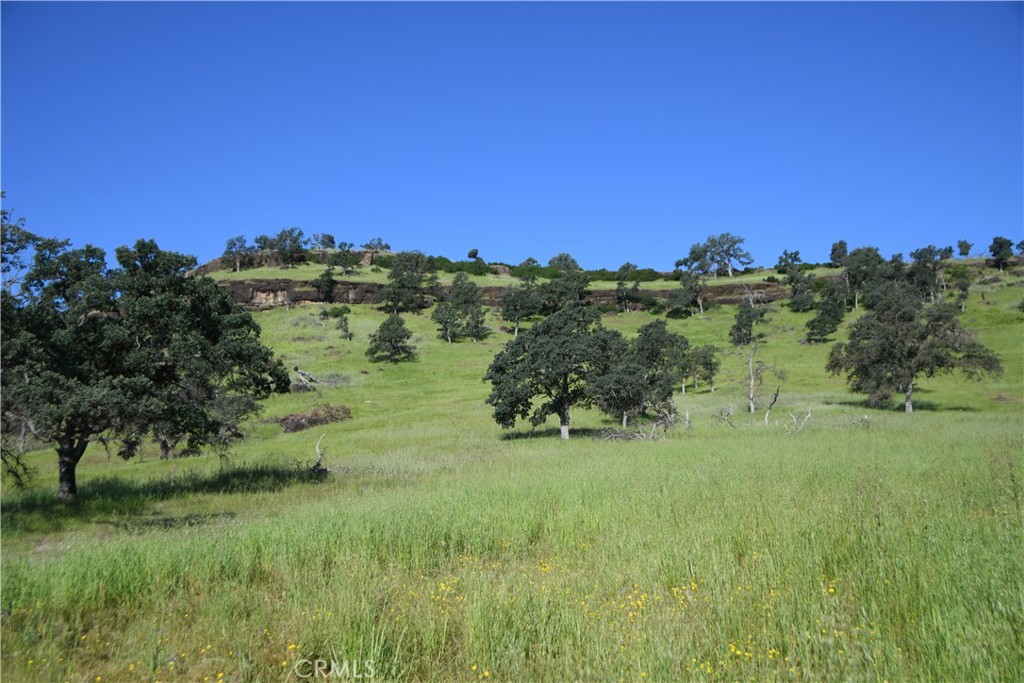 0 Cobble Creek Road Oroville, CA 95965 - Photo 8 of 55 a view of a lake with a yard
