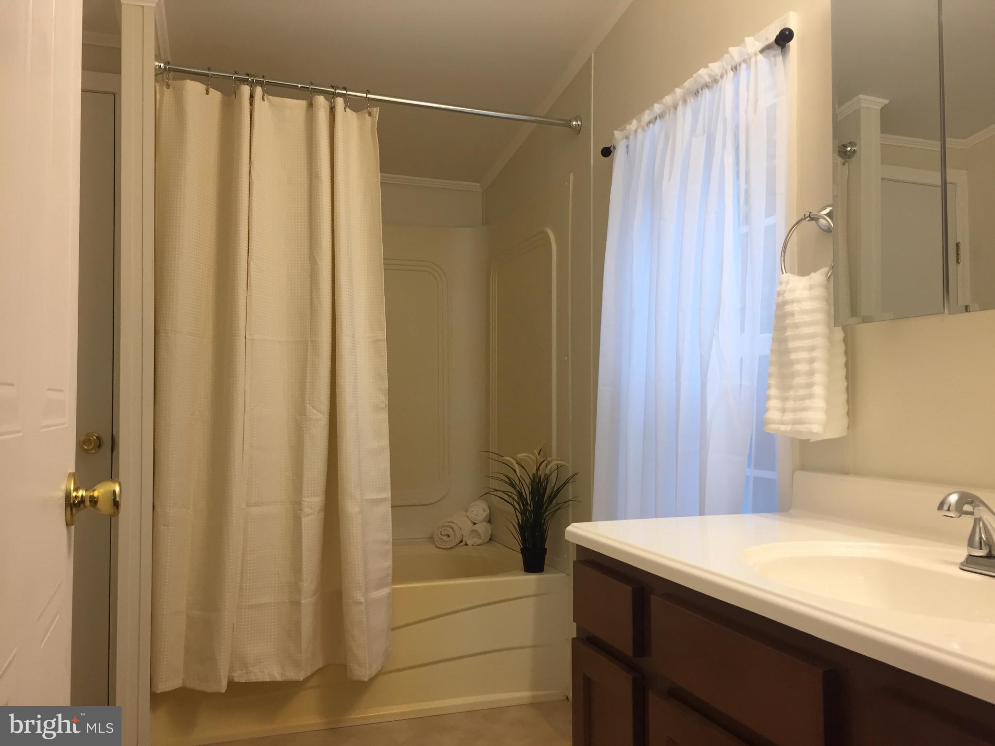 6594 Laurel Grove Road Denton, MD 21629 - Photo 11 of 17 Master Bathroom with Soaking Tub