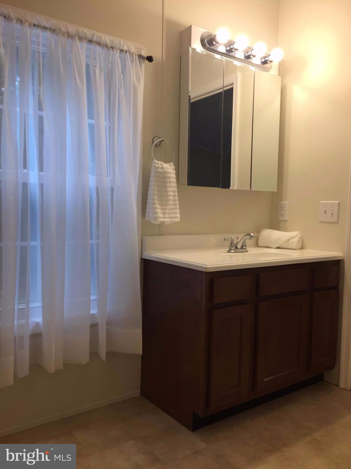 6594 Laurel Grove Road Denton, MD 21629 - Photo 12 of 17 Master Bathroom Opposite View