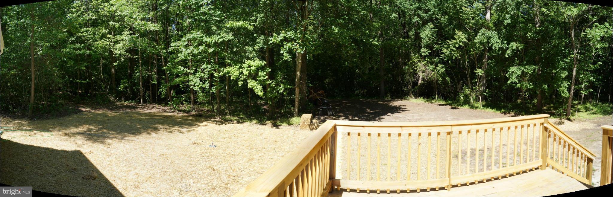 6594 Laurel Grove Road Denton, MD 21629 - Photo 4 of 17 Backyard View