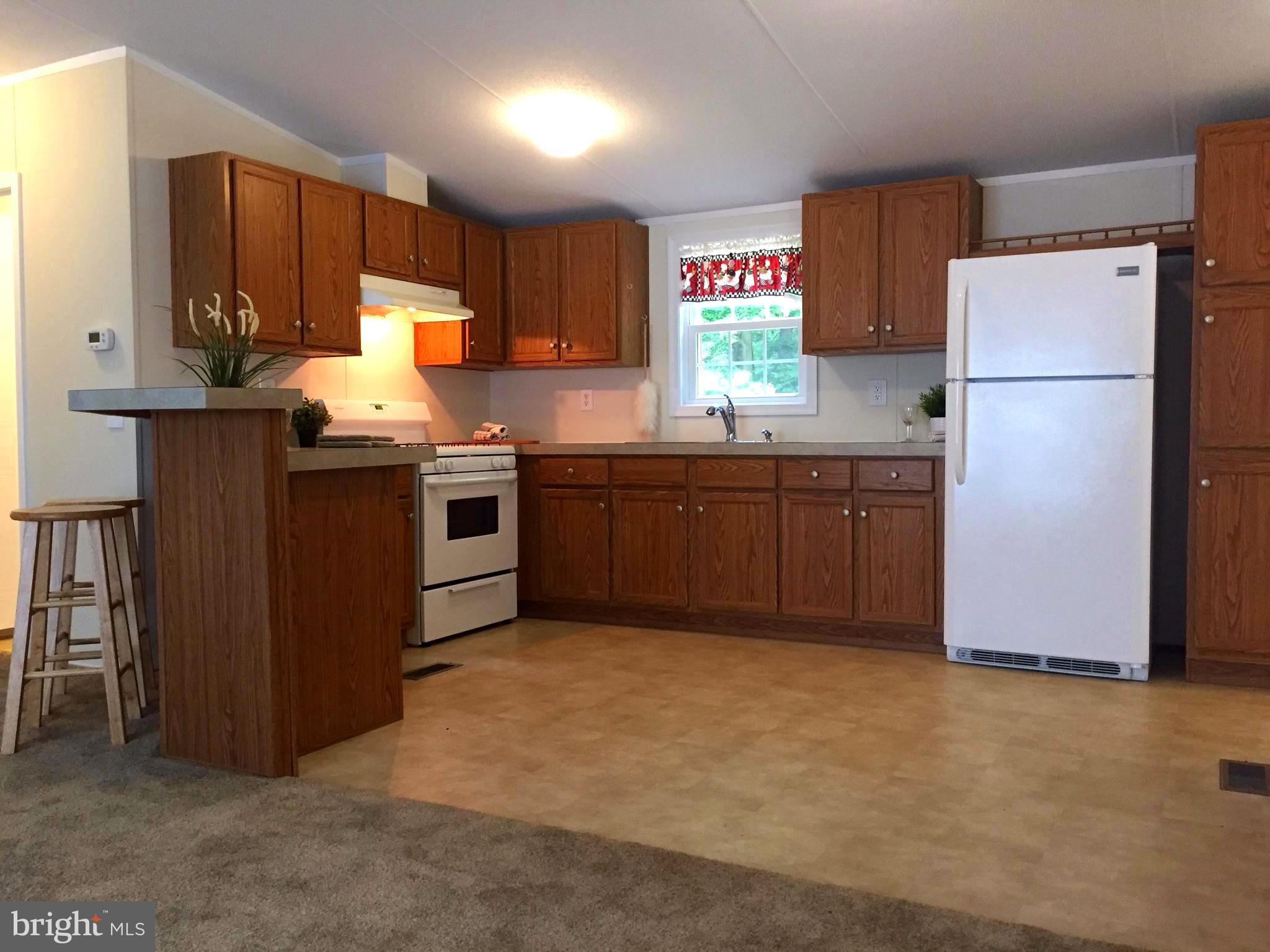 6594 Laurel Grove Road Denton, MD 21629 - Photo 8 of 17 Kitchen with Breakfast Bar
