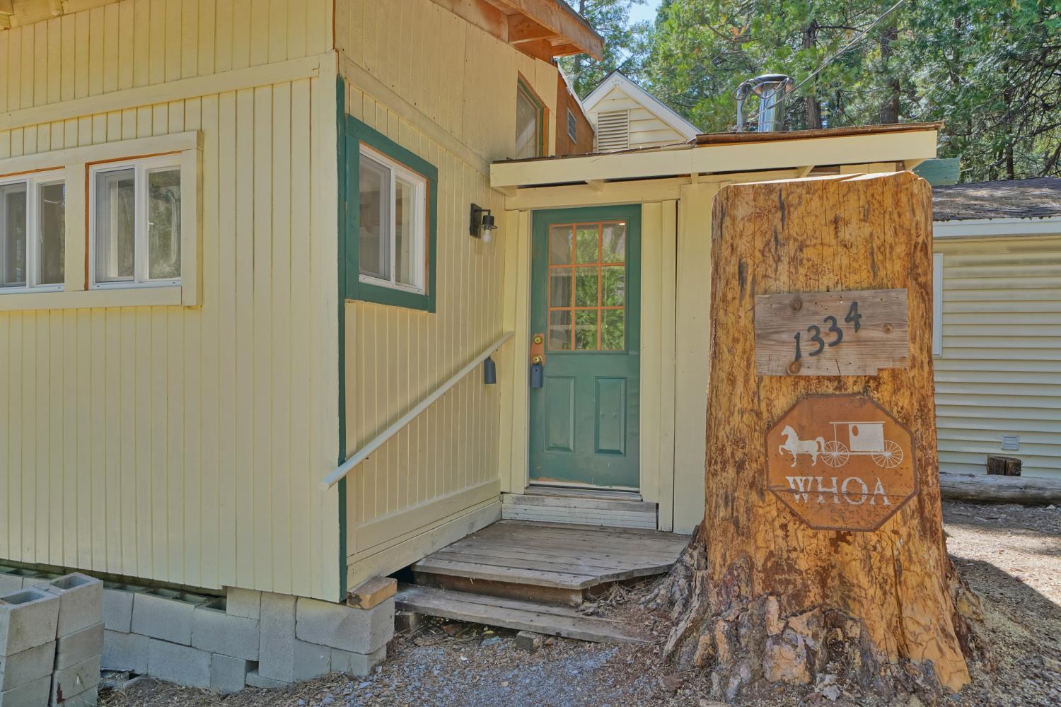 1334 School Road Kyburz, CA 95720 - Photo 33 of 36 a view of outdoor space
